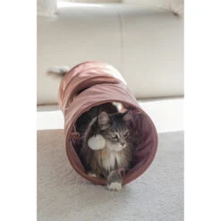 Designed By Lotte Kattentunnel Cylla Roze -Beeztees Winkel 1070415 5