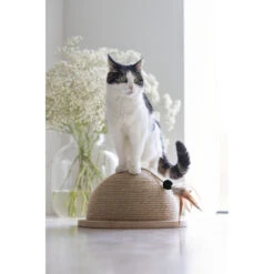 Designed By Lotte Halve Krabbol Hout Vivi 10 Designed By Lotte Halve Krabbol Hout Vivi -Beeztees Winkel 1070458 4