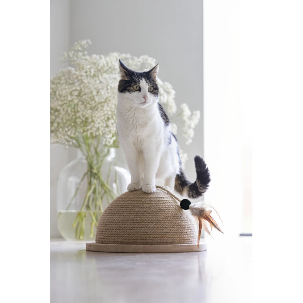 Designed By Lotte Halve Krabbol Hout Vivi 6 Designed By Lotte Halve Krabbol Hout Vivi - Afbeelding 4