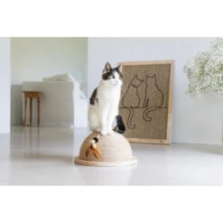 Designed By Lotte Halve Krabbol Hout Vivi 11 Designed By Lotte Halve Krabbol Hout Vivi -Beeztees Winkel 1070458 5