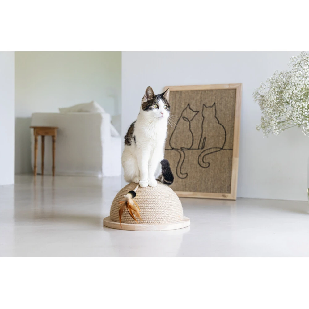 Designed By Lotte Halve Krabbol Hout Vivi 7 Designed By Lotte Halve Krabbol Hout Vivi - Afbeelding 5