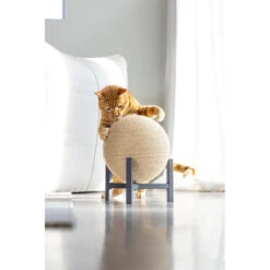 Designed By Lotte Krabbol Hout Tyra -Beeztees Winkel 1070675 4