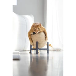 Designed By Lotte Krabbol Hout Tyra -Beeztees Winkel 1070675 5