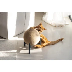 Designed By Lotte Krabbol Hout Tyra -Beeztees Winkel 1070675 6