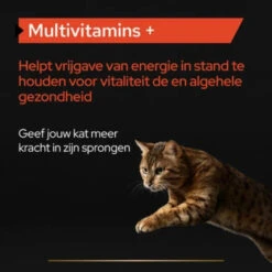 Pro Plan Supplement Poeder Voor Katten Multivitamine 11 Pro Plan Supplement Poeder Voor Katten Multivitamine -Beeztees Winkel 1073847 4