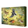 Baza Bird-Buffet Advent Kalender Green Garden 2 Baza Bird-Buffet Advent Kalender Green Garden -Beeztees Winkel 1075224