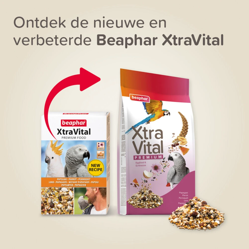 4x Beaphar XtraVital Papegaaienvoer 4 4x Beaphar XtraVital Papegaaienvoer - Afbeelding 2