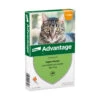 Advantage Anti Vlooiendruppels Kat Tot 4 Kg -Beeztees Winkel 701808
