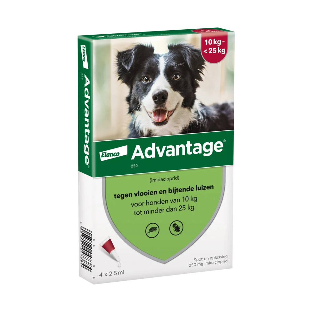 Advantage Anti Vlooiendruppels Hond 10 - 25 Kg 3 Advantage Anti Vlooiendruppels Hond 10 - 25 Kg