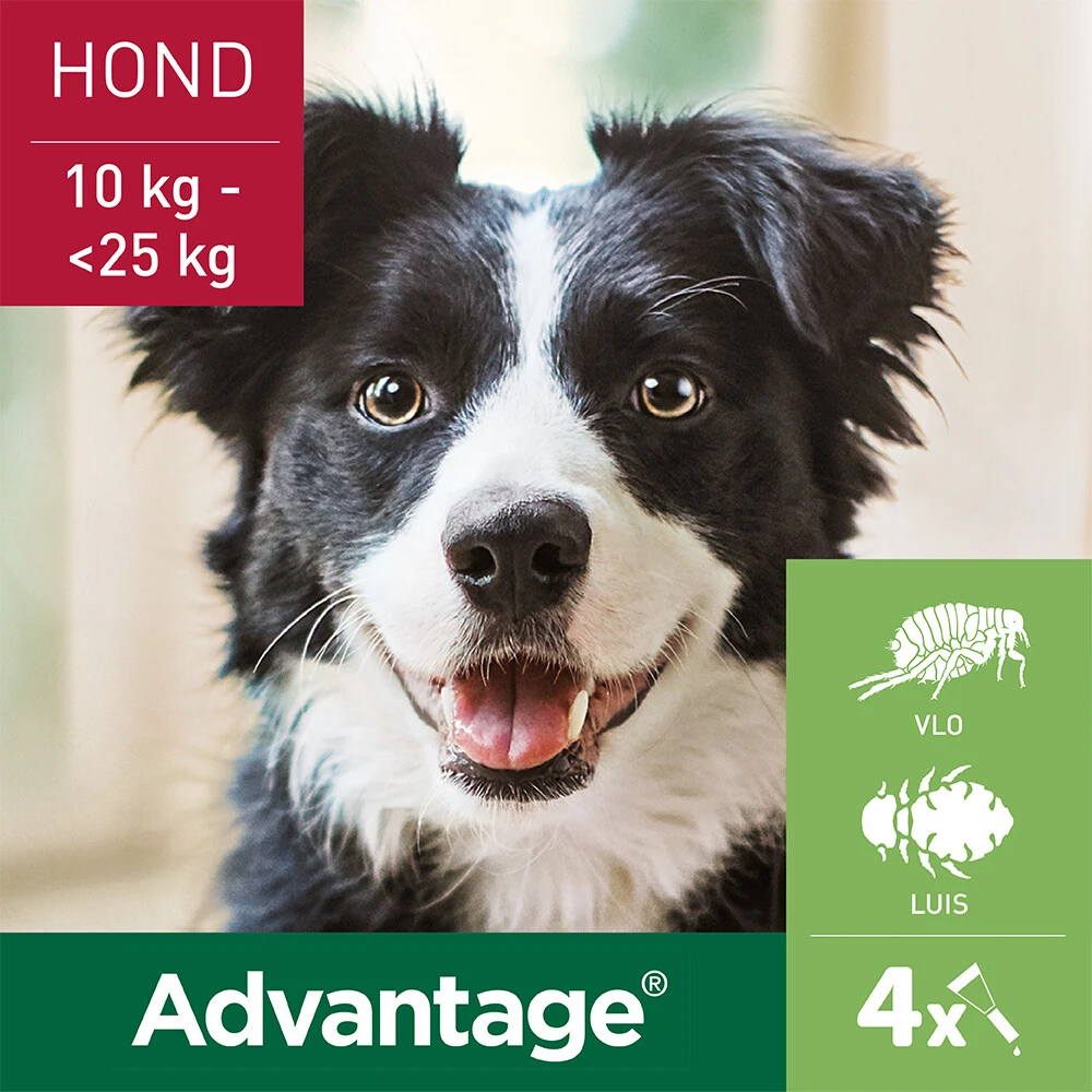 Advantage Anti Vlooiendruppels Hond 10 - 25 Kg 4 Advantage Anti Vlooiendruppels Hond 10 - 25 Kg - Afbeelding 2