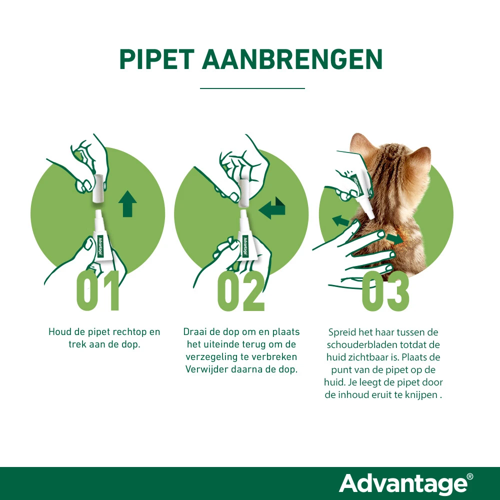 Advantage Anti Vlooiendruppels Hond 10 - 25 Kg 6 Advantage Anti Vlooiendruppels Hond 10 - 25 Kg - Afbeelding 4