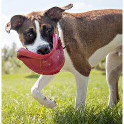 Kong Flyer Frisbee Rood -Beeztees Winkel 703705 3