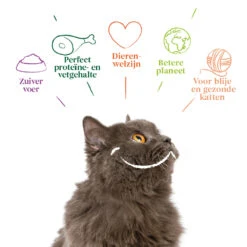 16x Yarrah Bio Kattenvoer Chunks Kip - Rund -Beeztees Winkel 704651 4