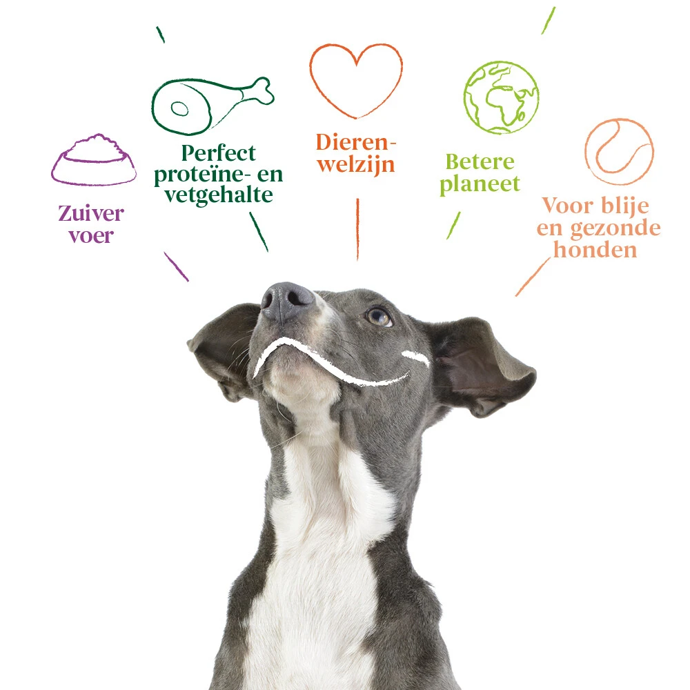 12x Yarrah Bio Hondenvoer Chunks Rund - Kip 6 12x Yarrah Bio Hondenvoer Chunks Rund - Kip - Afbeelding 4