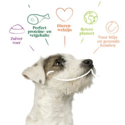 12x Yarrah Bio Hondenvoer Paté Rund - Kip -Beeztees Winkel 704655 4