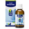 PUUR Intestine -Beeztees Winkel 748986