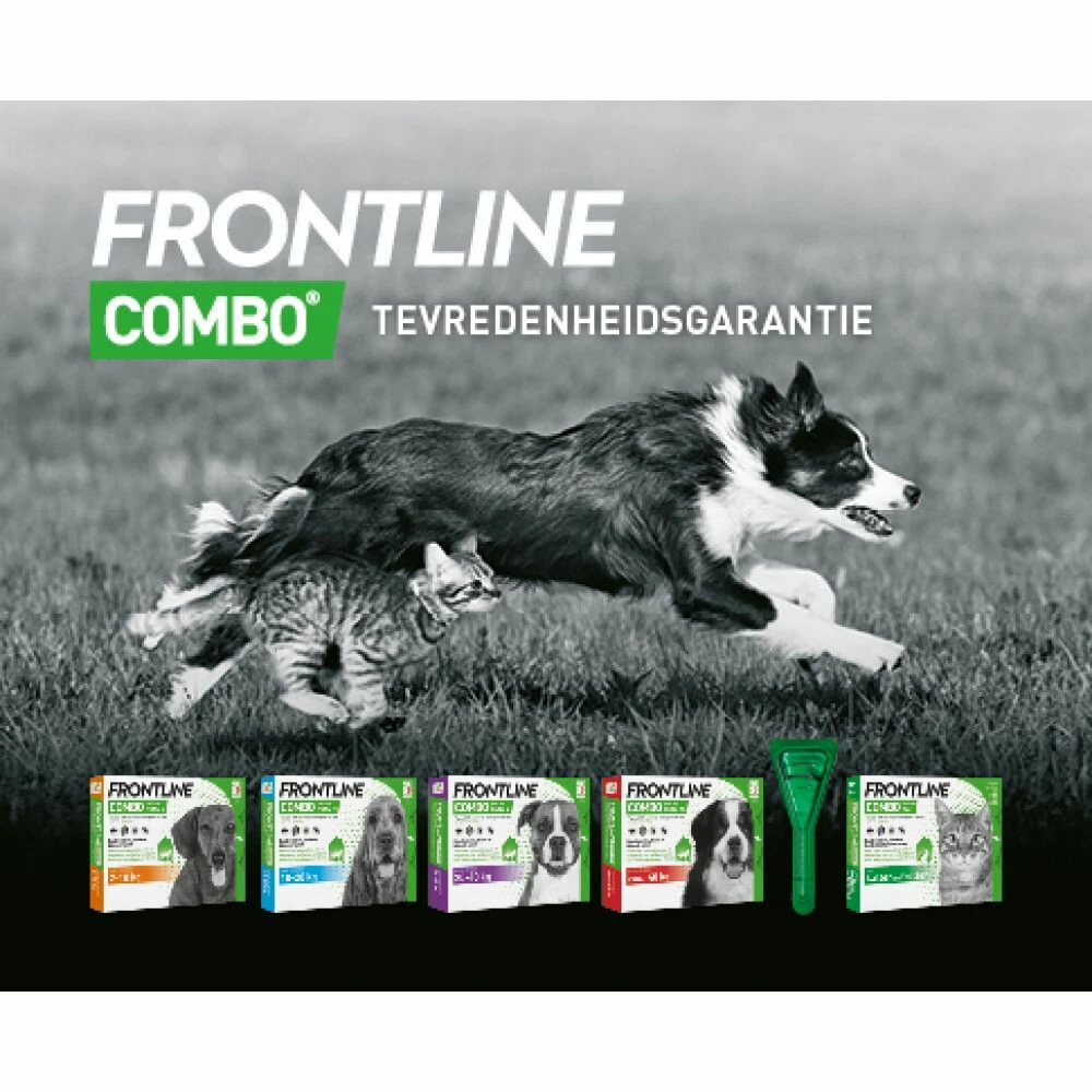 Frontline Combo Spot On Anti Vlooien En Teken Druppels Hond 20 - 40 Kg 4 Frontline Combo Spot On Anti Vlooien En Teken Druppels Hond 20 - 40 Kg - Afbeelding 2