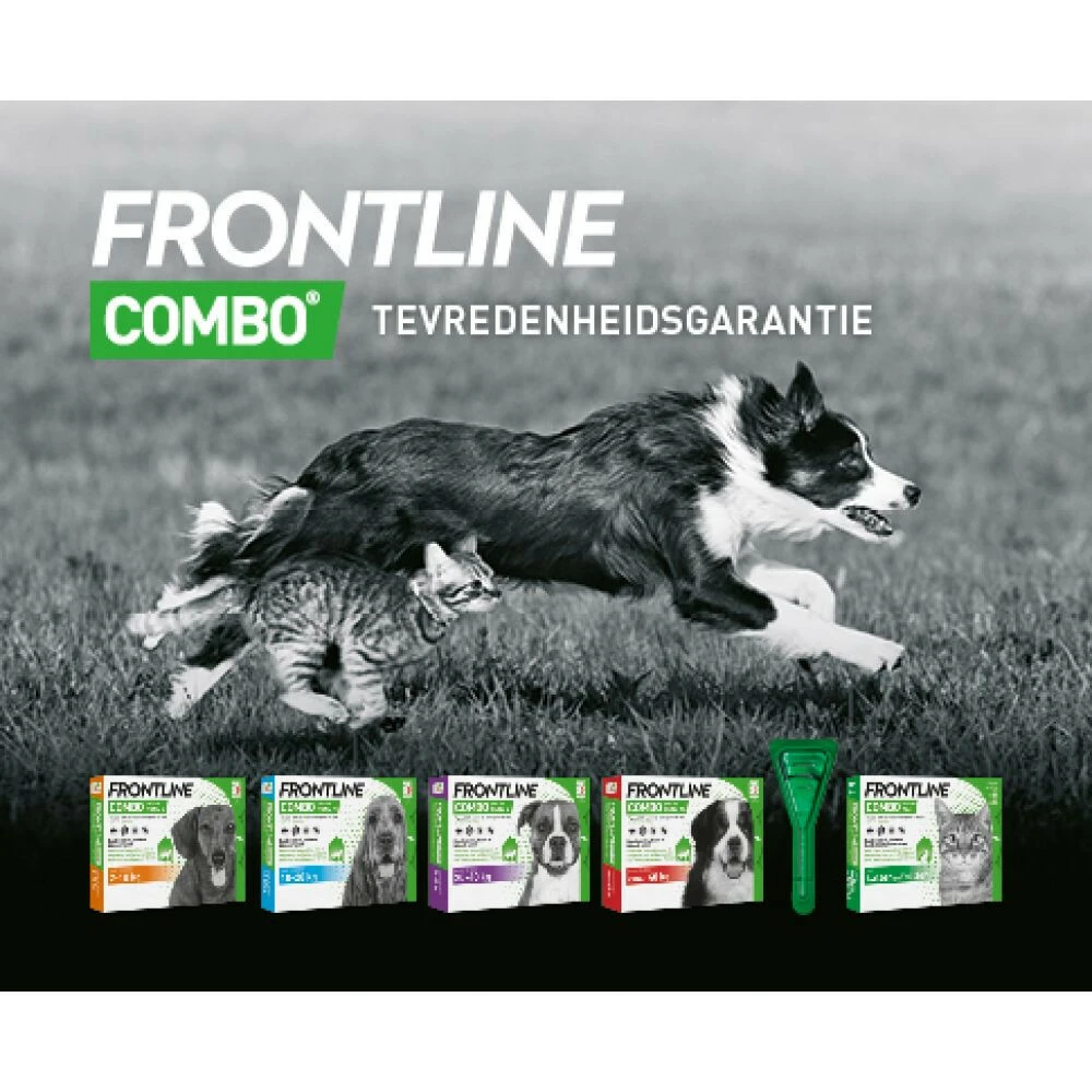 Frontline Combo Spot On Anti Vlooien En Teken Druppels Hond Vanaf 40 Kg 4 Frontline Combo Spot On Anti Vlooien En Teken Druppels Hond Vanaf 40 Kg - Afbeelding 2