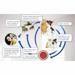 Beaphar Milquestra Ontworming Tabletten Hond 5 - 75kg -Beeztees Winkel 975810 4