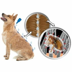 Beaphar DIMETHIcare Anti Vlooien En Teken Spray 8 Beaphar DIMETHIcare Anti Vlooien En Teken Spray -Beeztees Winkel 976013 3