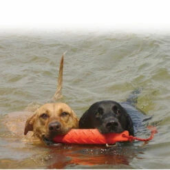 Kong Training Dummy XL -Beeztees Winkel 981575 2