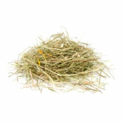 6x Puik Kruidenhooi Madelief - Paardenbloem -Beeztees Winkel 983910 3