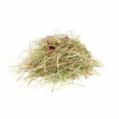 6x Puik Kruidenhooi Rozenbloem - Peterselie -Beeztees Winkel 987310 3