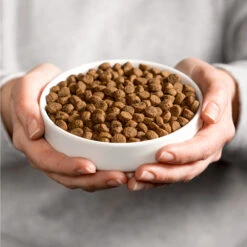 Smolke Kattenvoer Sterilised -Beeztees Winkel 991487 2