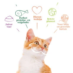 12x Yarrah Bio Kattenvoer Chunks Kip - Kalkoen 9 12x Yarrah Bio Kattenvoer Chunks Kip - Kalkoen -Beeztees Winkel 991877 4