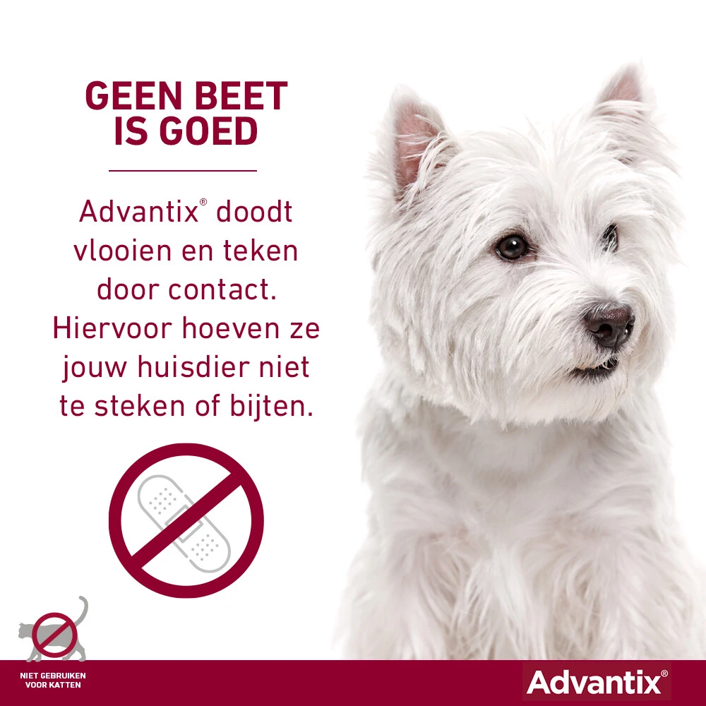 Advantix Spot On 100 Anti Vlooien En Teken Druppels Hond 4 - 10 Kg 6 Advantix Spot On 100 Anti Vlooien En Teken Druppels Hond 4 - 10 Kg - Afbeelding 4