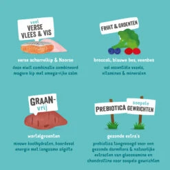 Edgard & Cooper Hondenvoer Senior Scharrelkip - Noorse Zalm 9 Edgard & Cooper Hondenvoer Senior Scharrelkip - Noorse Zalm -Beeztees Winkel 993009 4