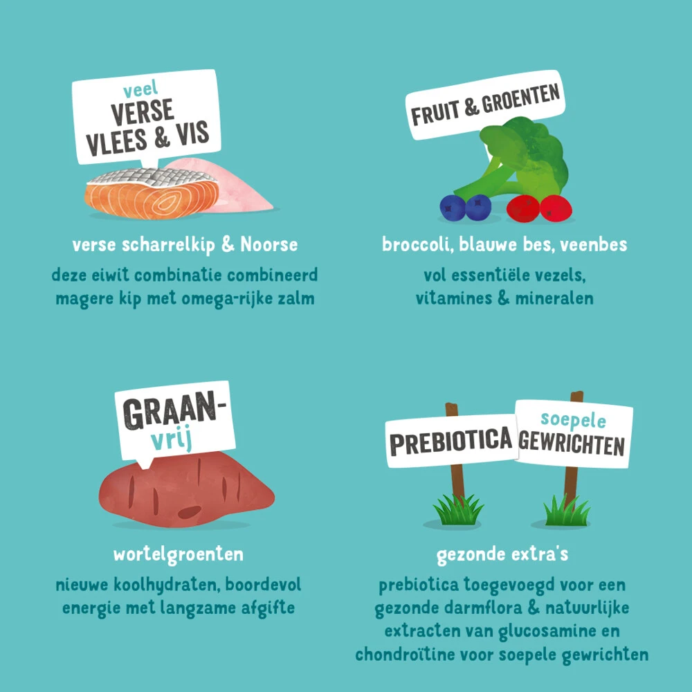 Edgard & Cooper Hondenvoer Senior Scharrelkip - Noorse Zalm 6 Edgard & Cooper Hondenvoer Senior Scharrelkip - Noorse Zalm - Afbeelding 4