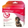 Beaphar Fiprotec Anti Vlooien En Teken Druppels 2 - 10 Kg 2 Beaphar Fiprotec Anti Vlooien En Teken Druppels 2 - 10 Kg -Beeztees Winkel 993405