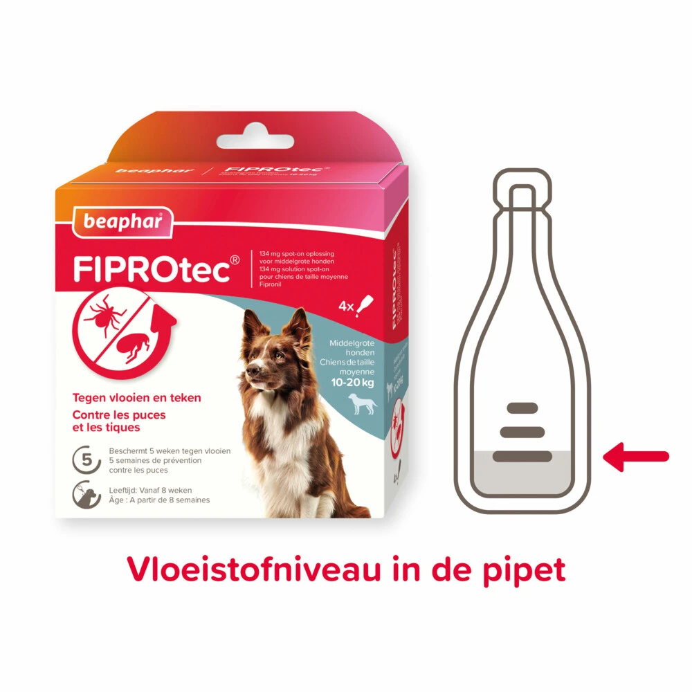 Beaphar Fiprotec Anti Vlooien En Teken Druppels Hond 10 - 20 Kg 4 Beaphar Fiprotec Anti Vlooien En Teken Druppels Hond 10 - 20 Kg - Afbeelding 2