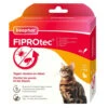 Beaphar Fiprotec Anti Vlooiendruppels Kat Vanaf 1 Kg 1 Beaphar Fiprotec Anti Vlooiendruppels Kat Vanaf 1 Kg -Beeztees Winkel 993467
