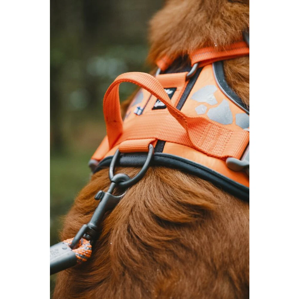 Hurtta Weekend Warrior Harness Zwart 4 Hurtta Weekend Warrior Harness Zwart - Afbeelding 2
